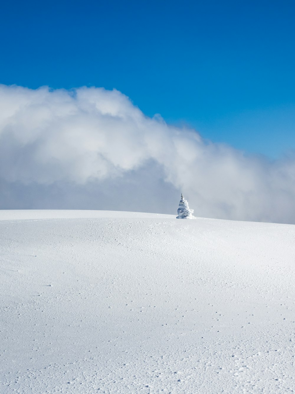 a lone tree on top of a snow covered hill