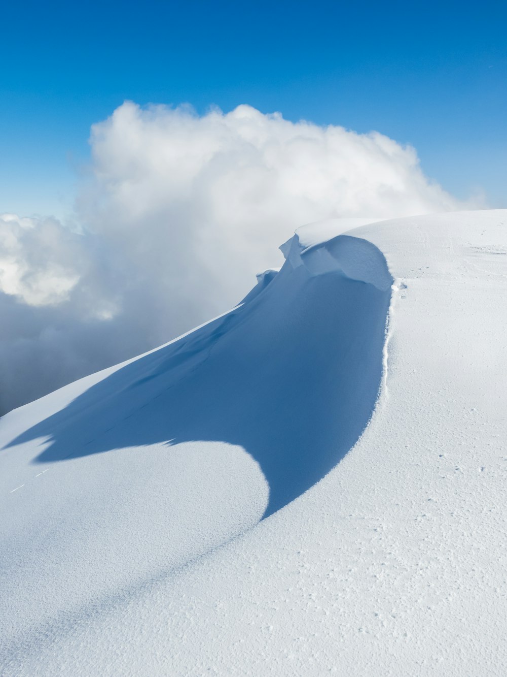 a person on skis is standing on a snowy hill
