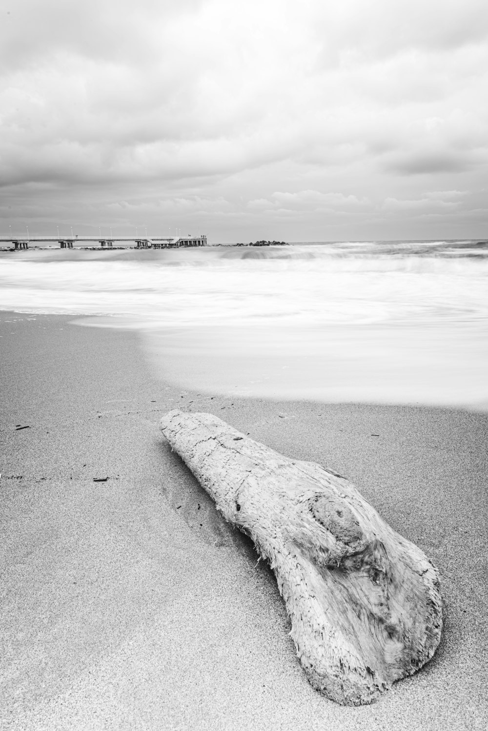 a log laying on a beach next to the ocean