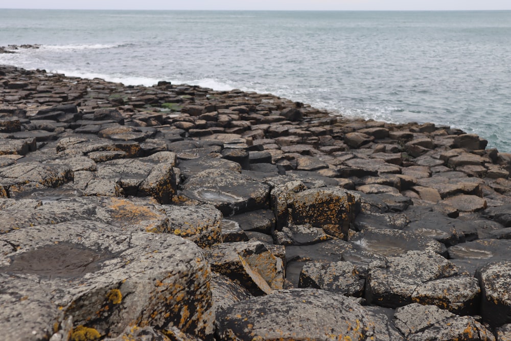 a rocky beach with a body of water in the background