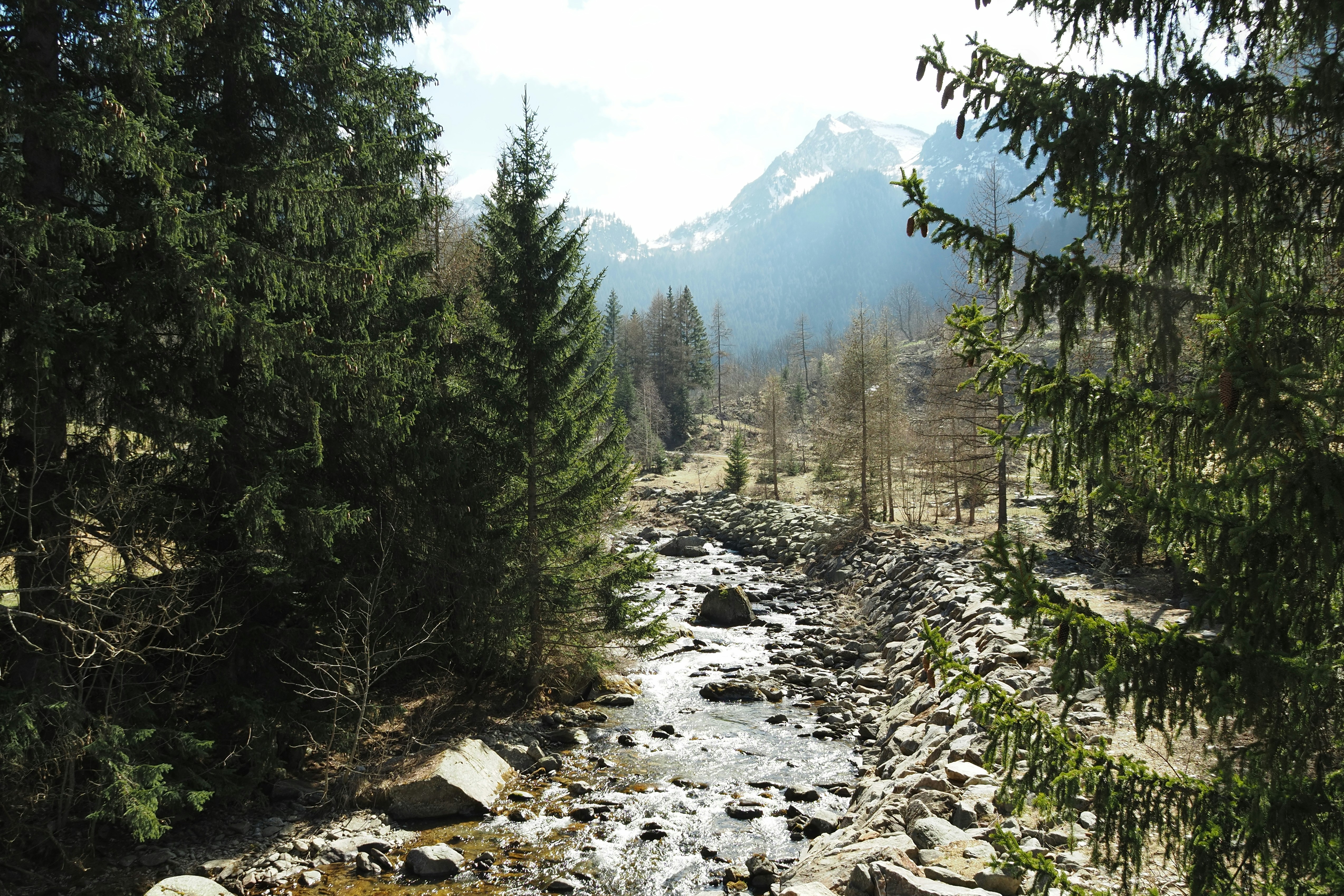 Photo by walter_verna