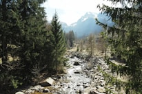 A tranquil Colorado landscape with mountains and greenery.