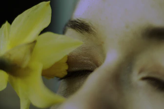 a close up of a person holding a flower