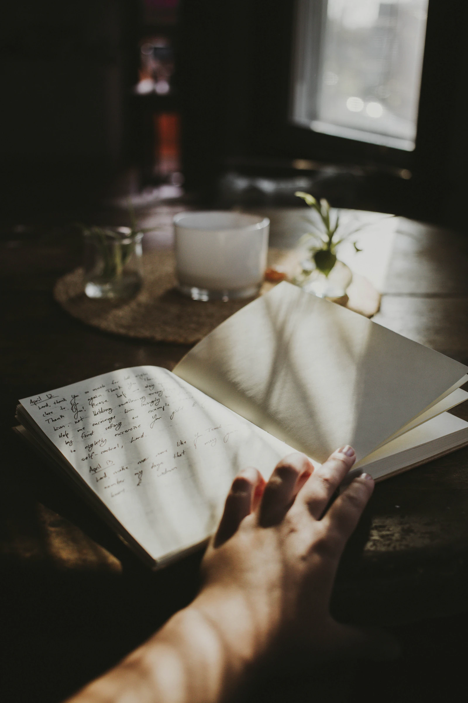 Gratitude Practice: How Thankfulness Supports Whole-Person Health