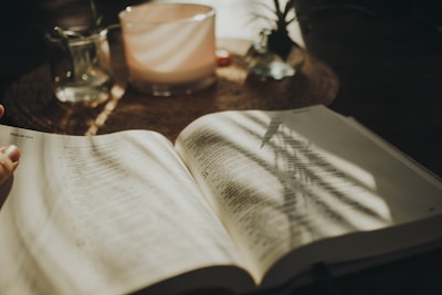 Close-up of an open ebook with soft natural light filtering through nearby plants.