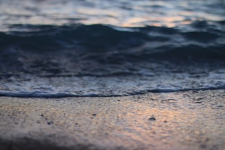 A quiet moment of stillness by the ocean shore, waves lapping softly at the sand.