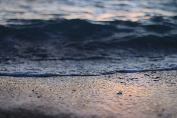 A quiet moment of stillness by the ocean shore, waves lapping softly at the sand.