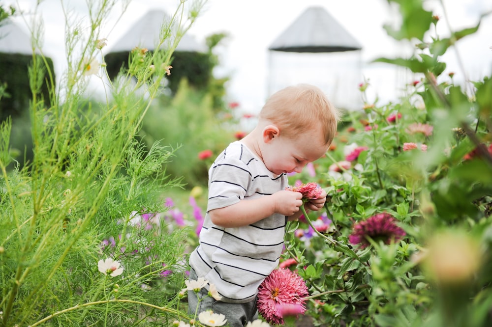 a little boy standing in a field of flowers
