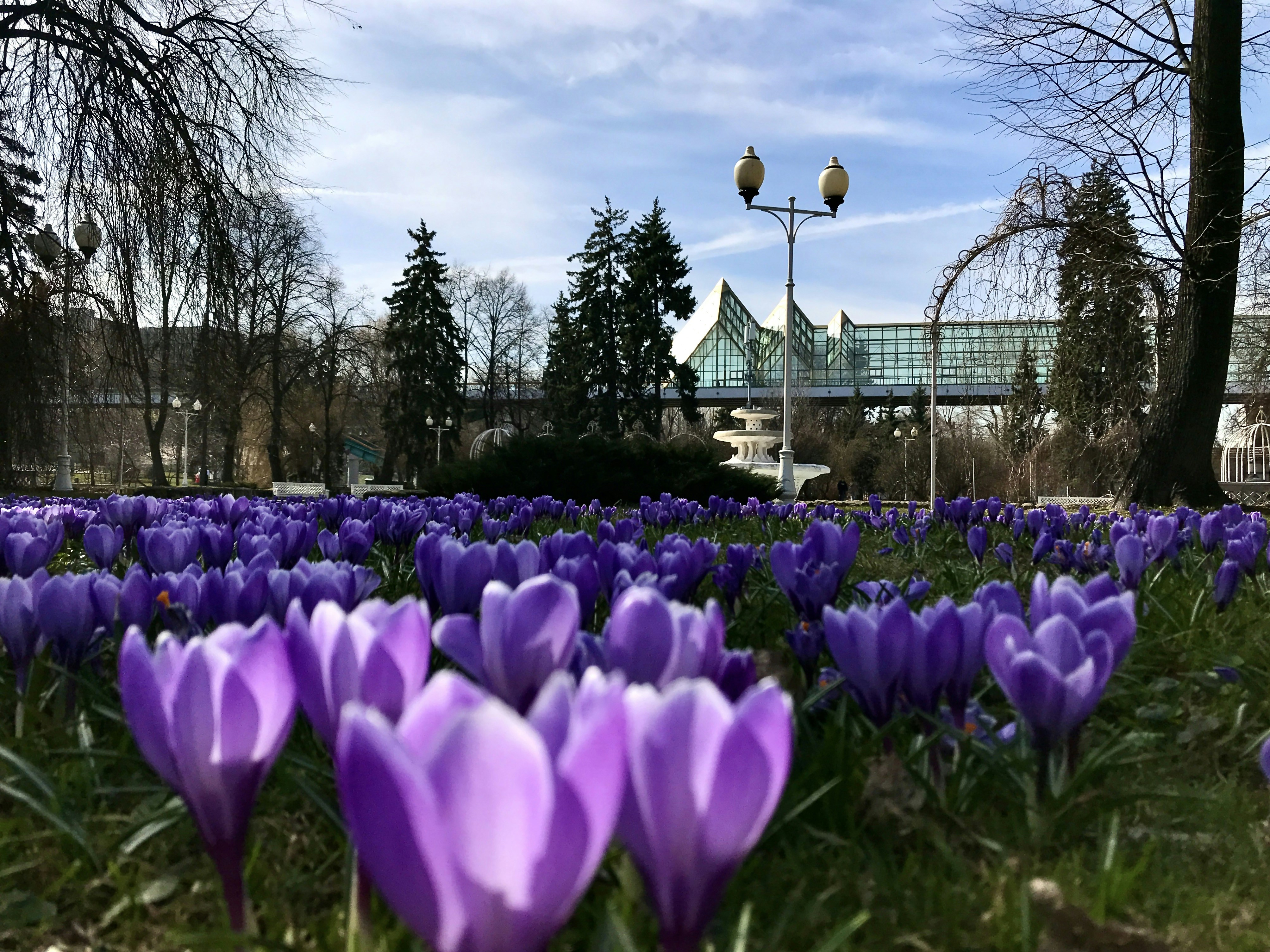 Image by EVGEN SLAVIN via Unsplash