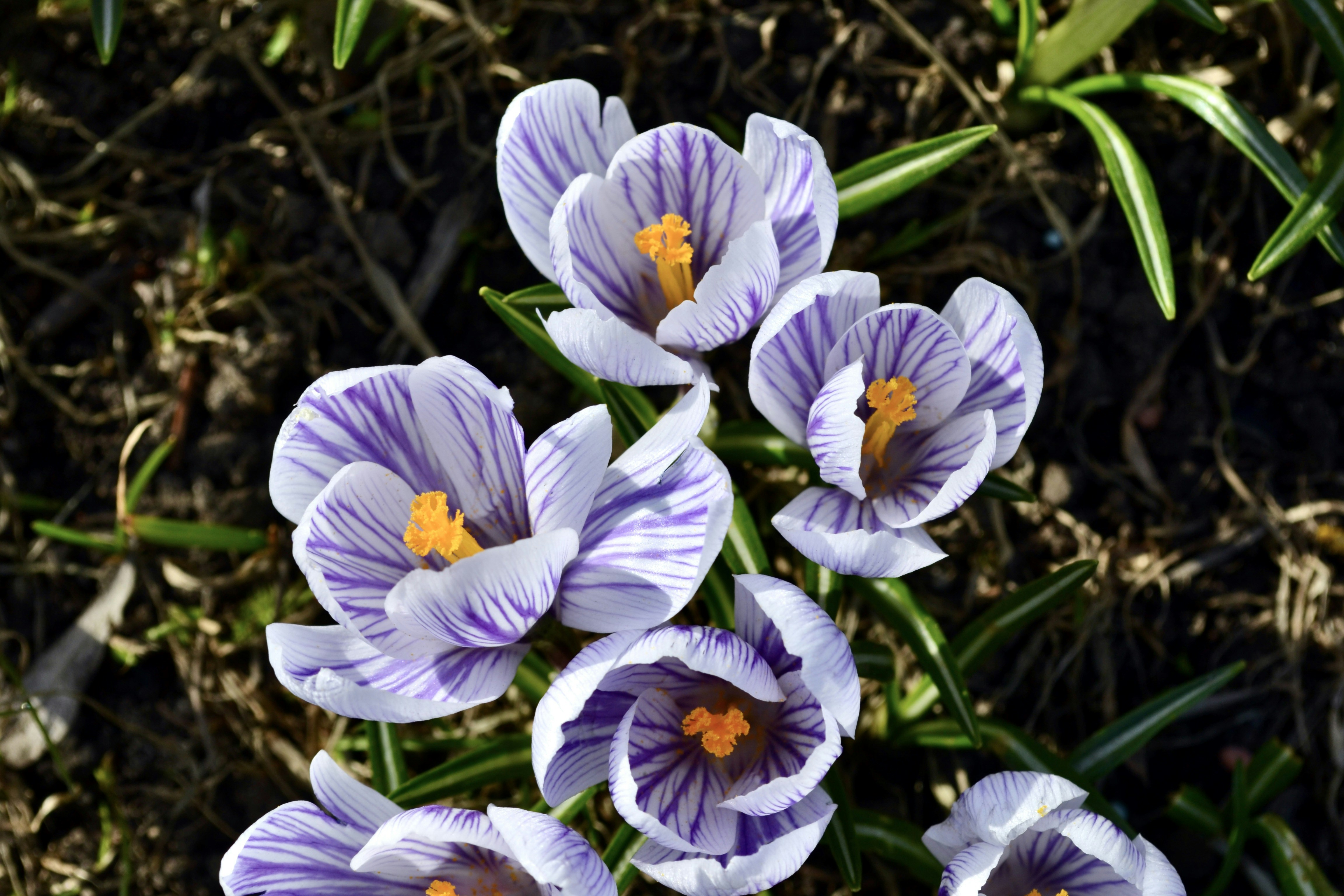 Photo by evgenslavin