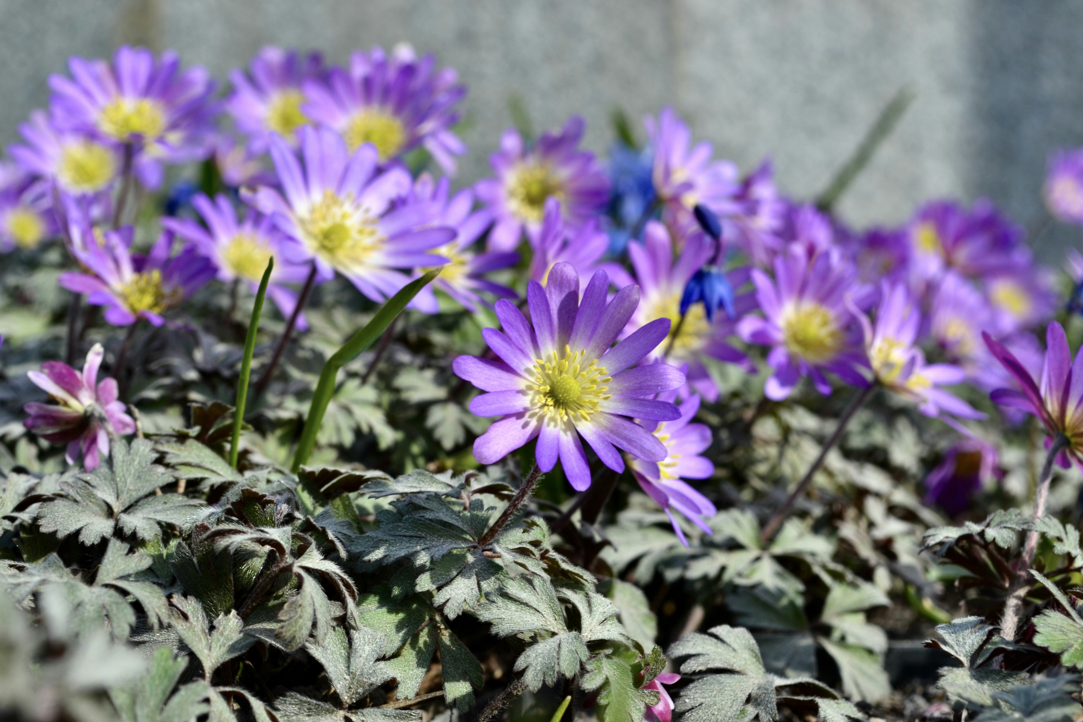 Photo by evgenslavin