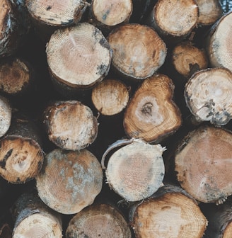 a pile of cut logs sitting next to each other