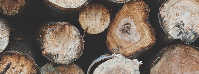 a pile of cut logs sitting next to each other