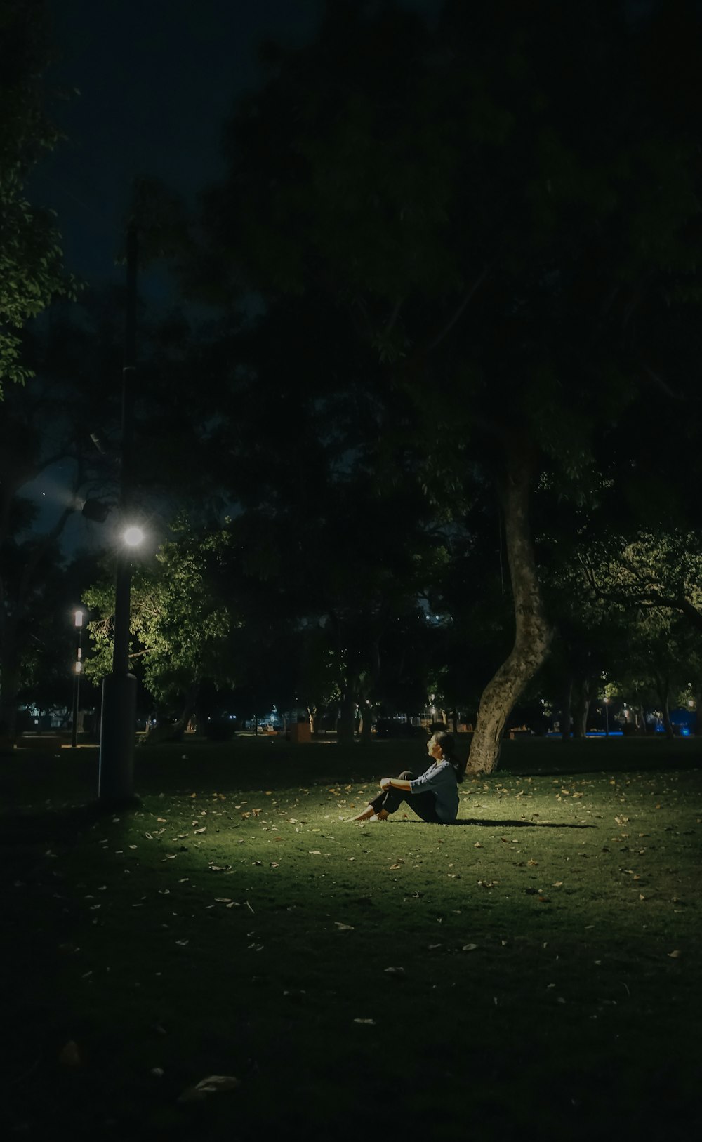 a person sitting on the ground under a tree at night