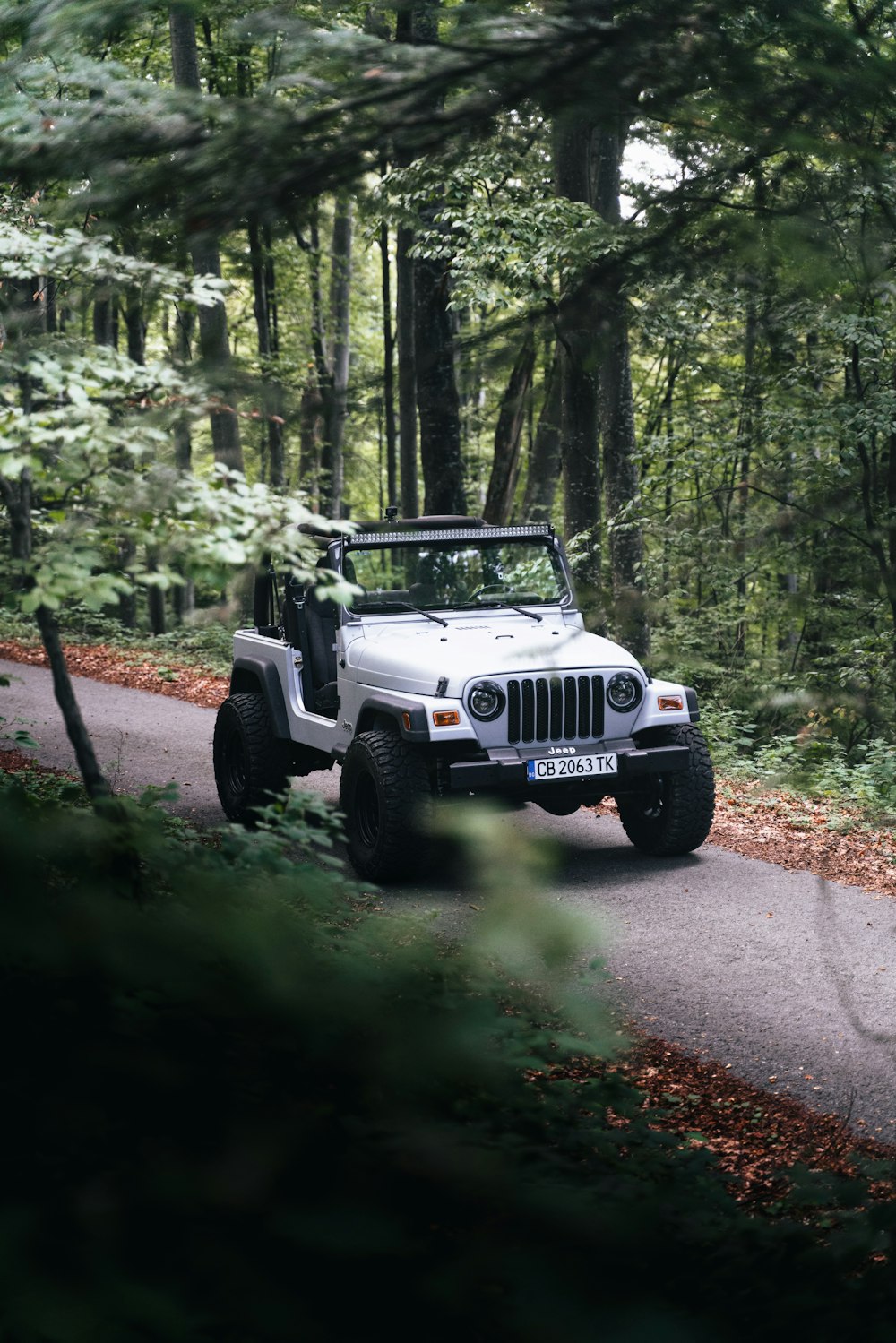 a jeep driving down a road in the woods