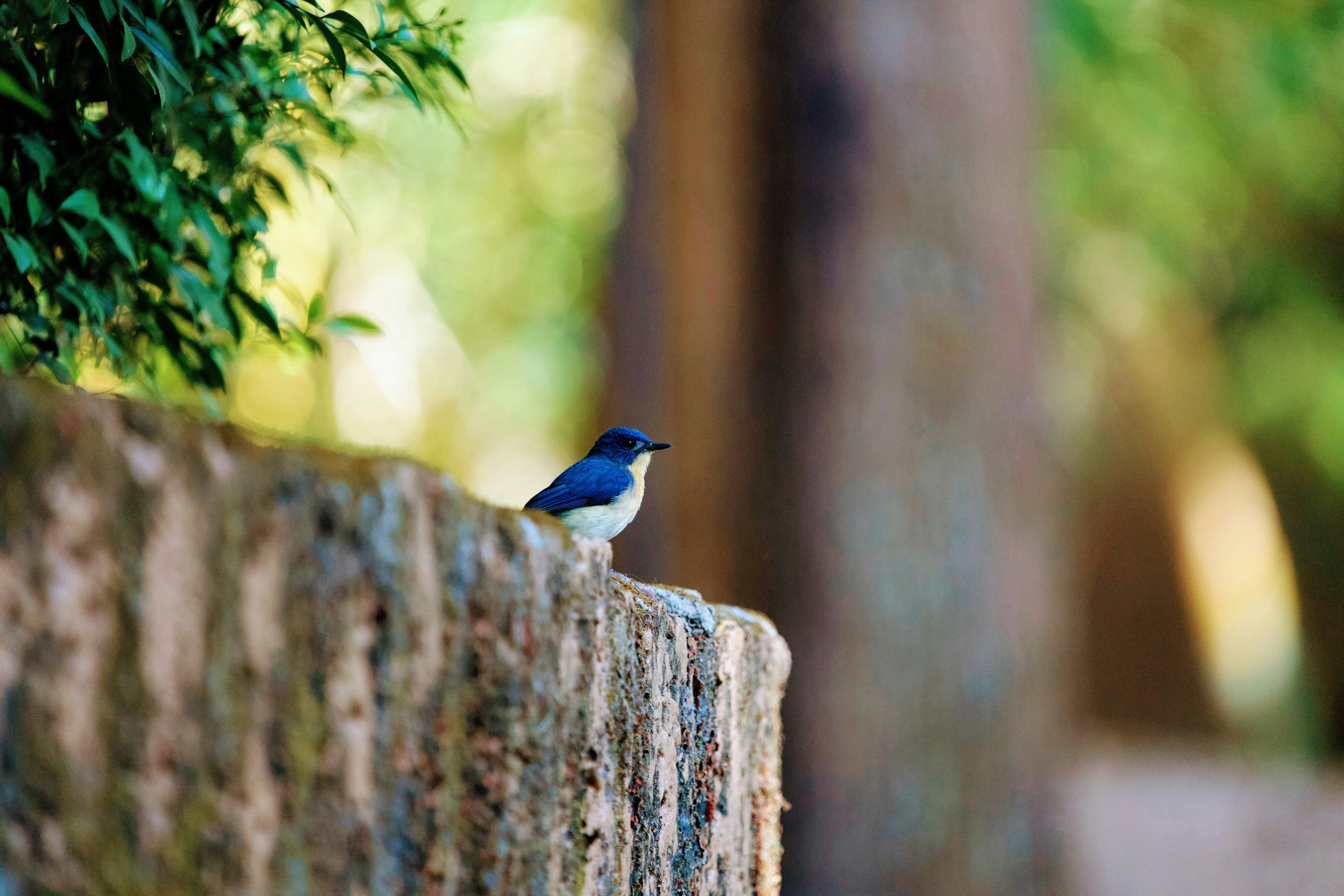 Photo by vatsalparekh