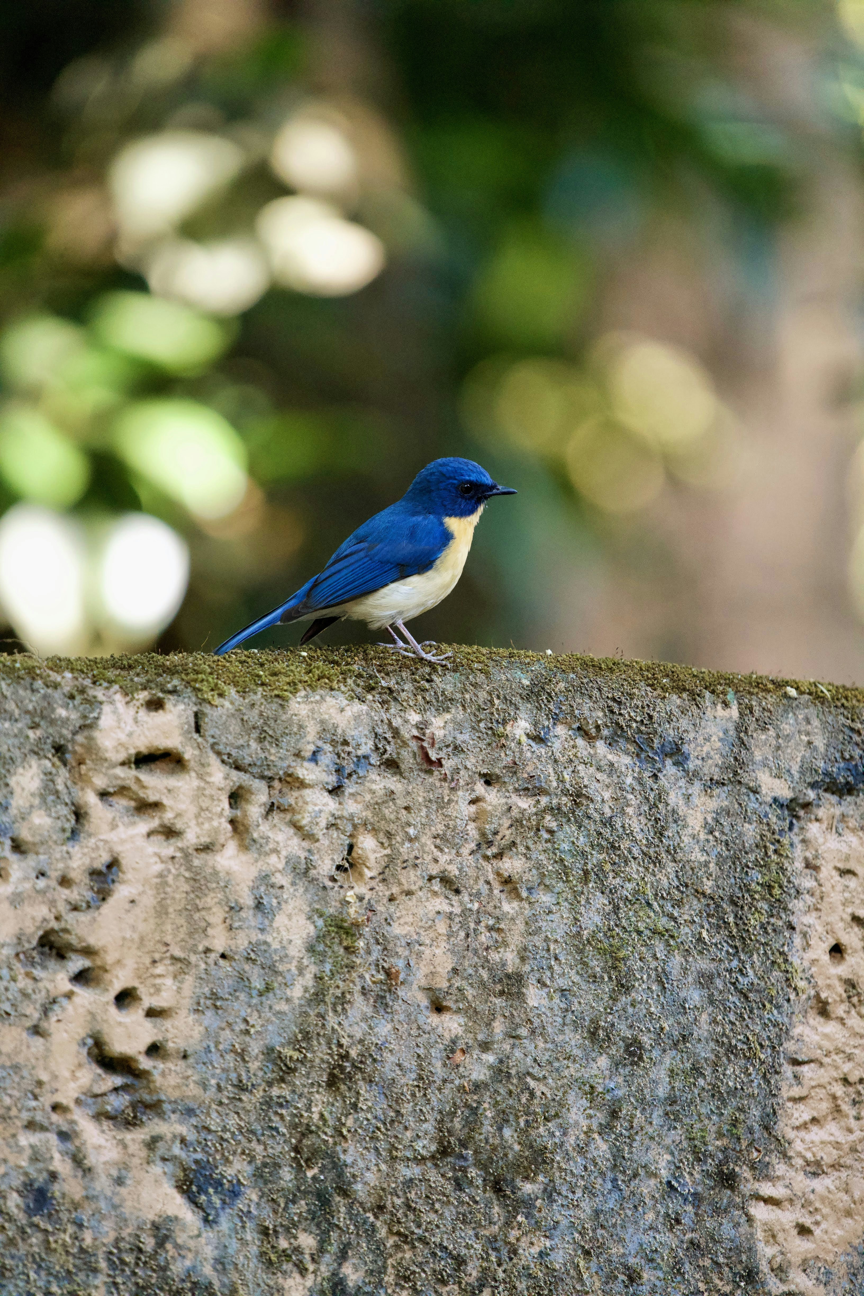 Photo by vatsalparekh