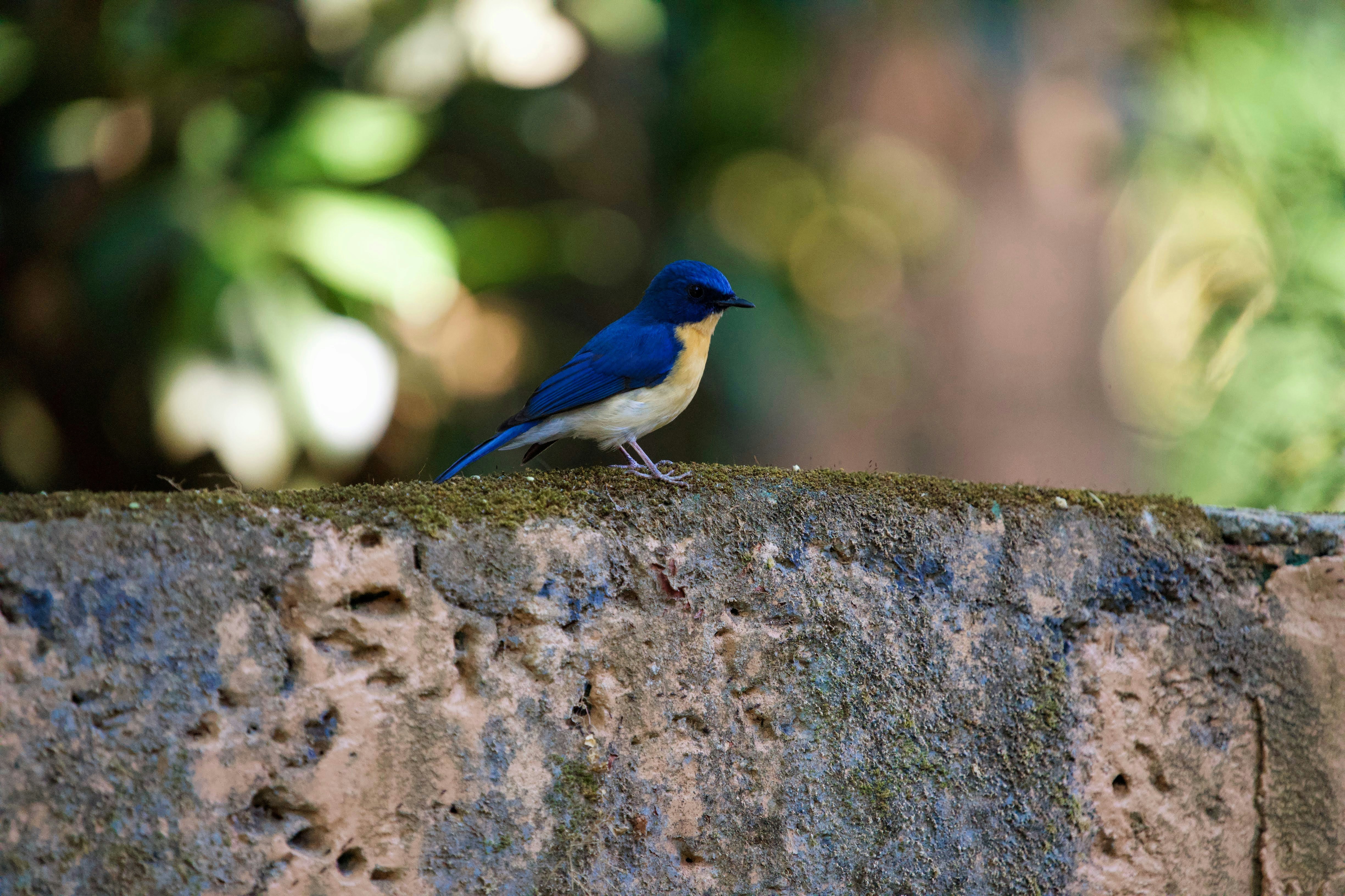 Photo by vatsalparekh