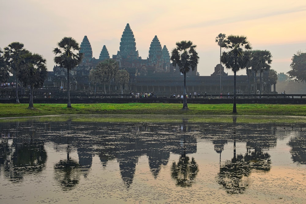 a large body of water surrounded by palm trees