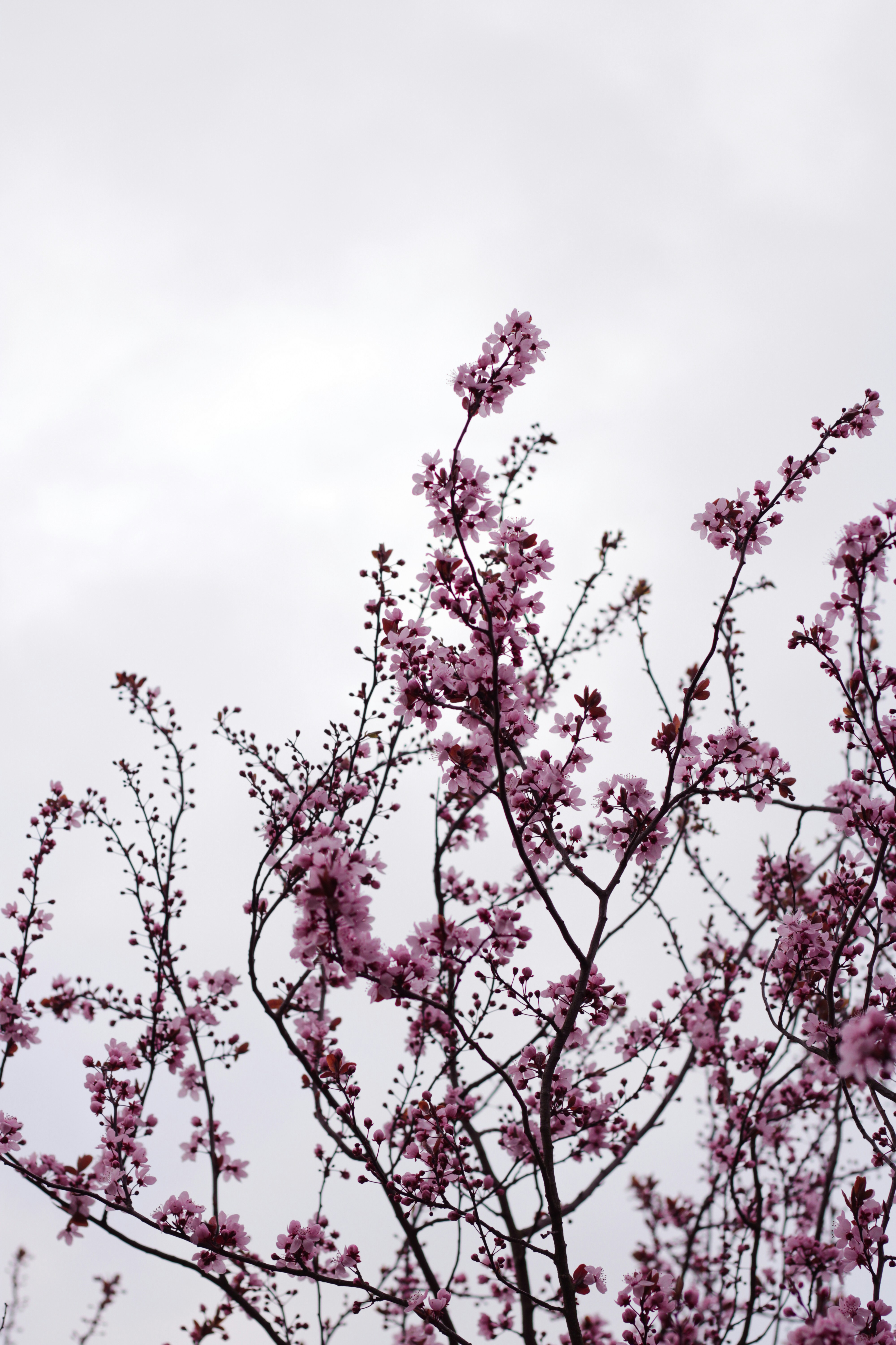 Photo by szymonek_wierzcholek