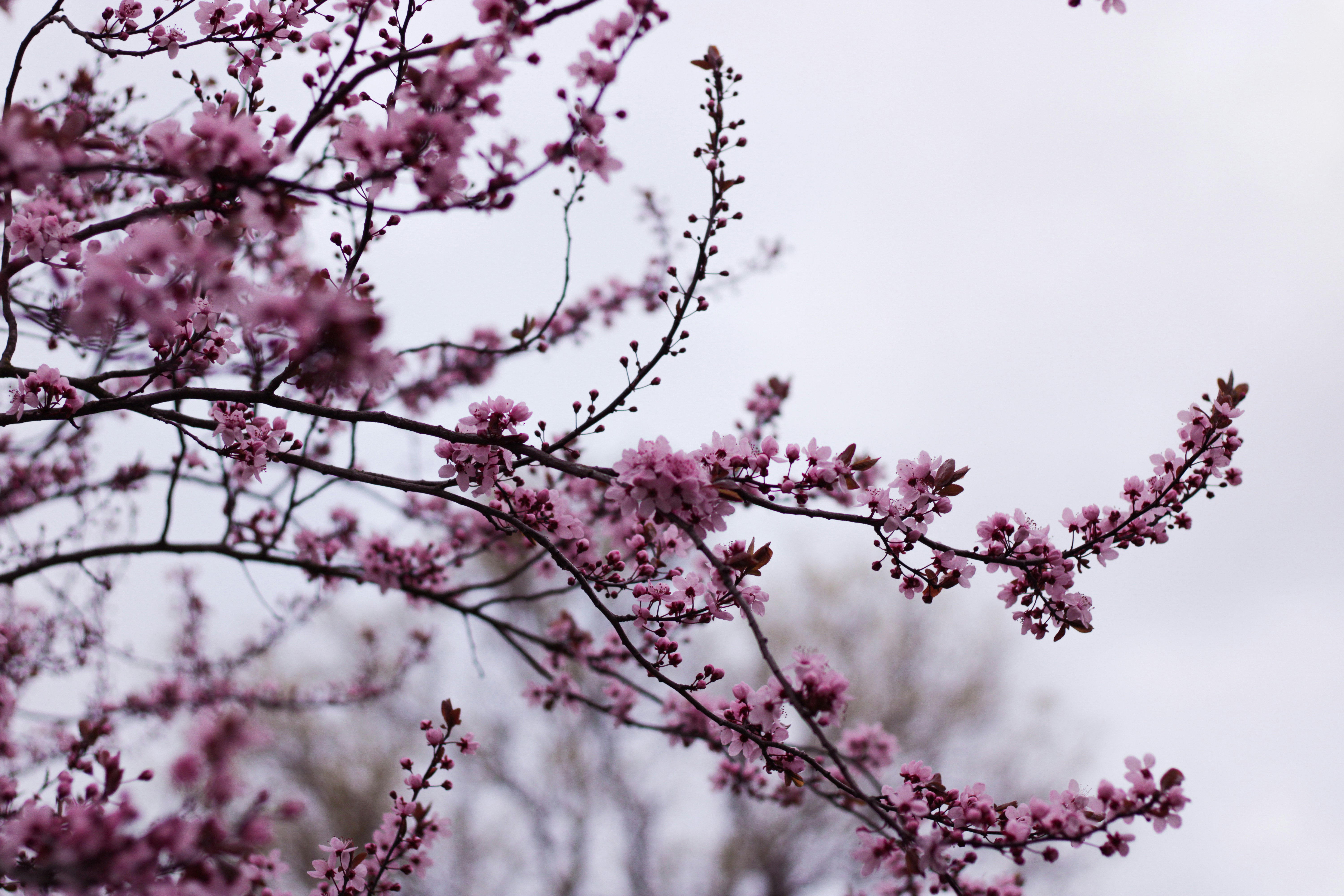 Photo by szymonek_wierzcholek