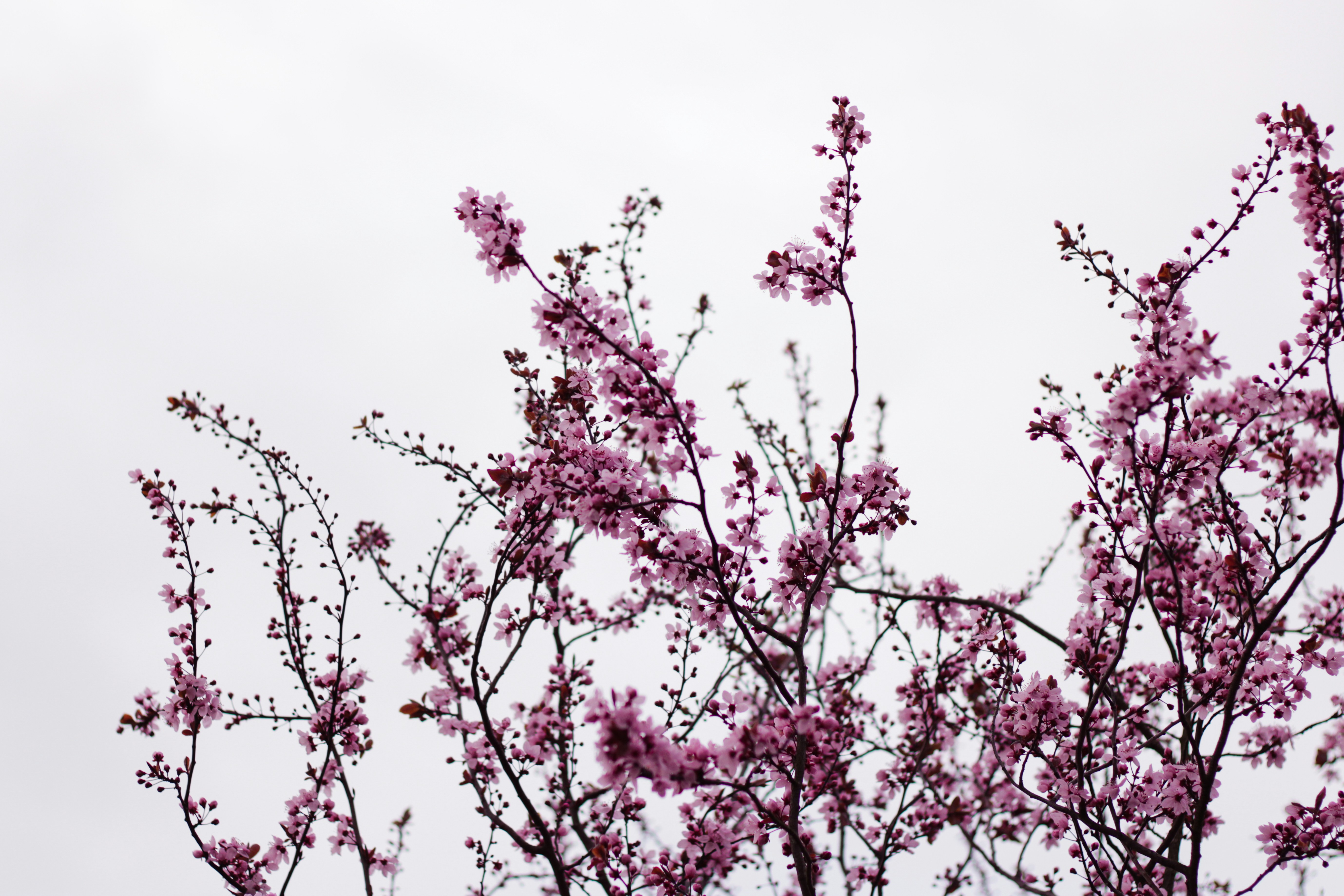 Photo by szymonek_wierzcholek