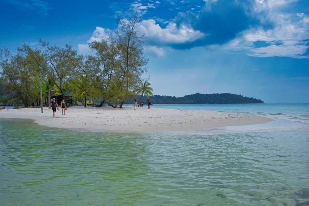 a group of people walking along a sandy beach