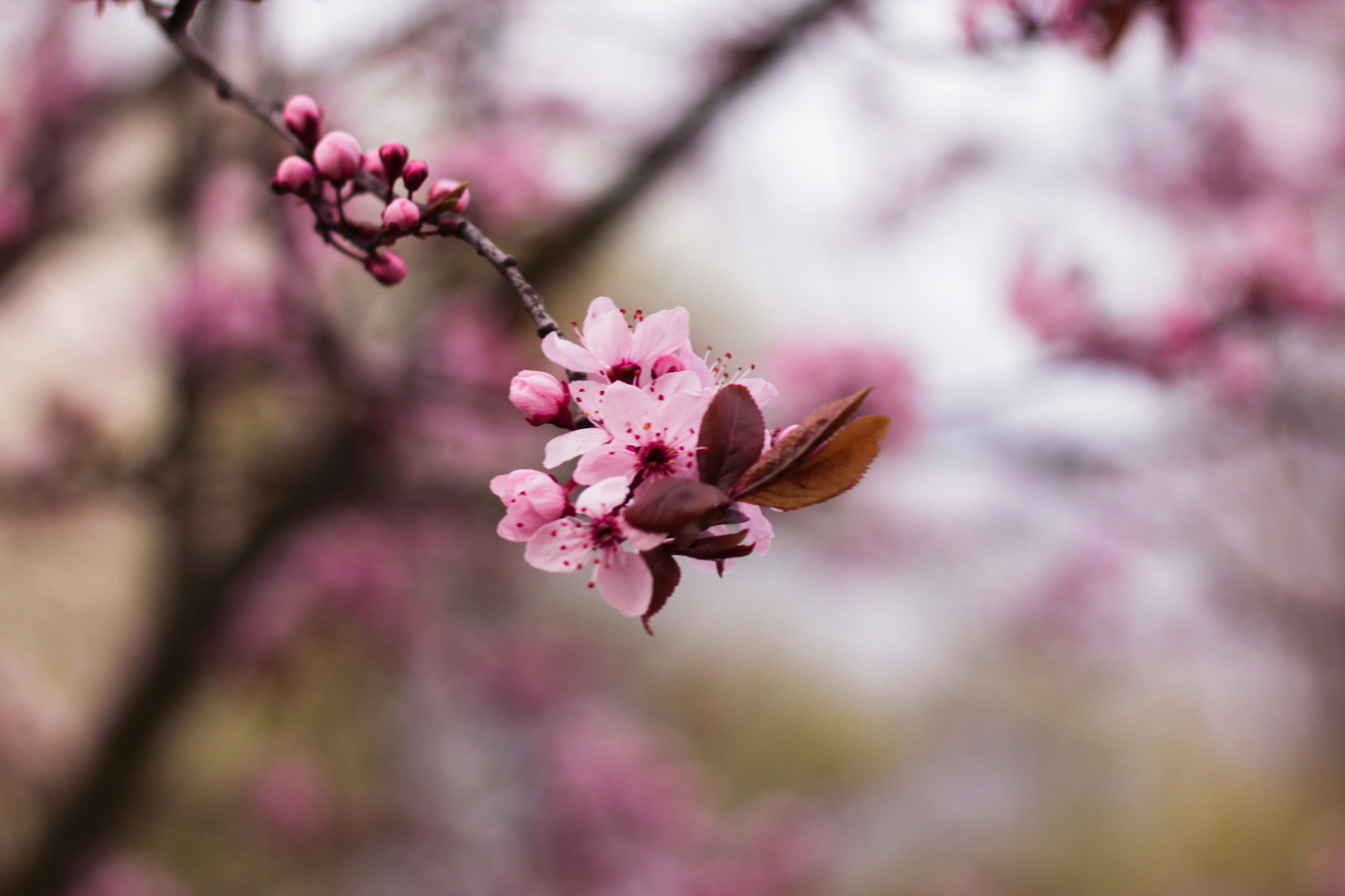 Photo by szymonek_wierzcholek