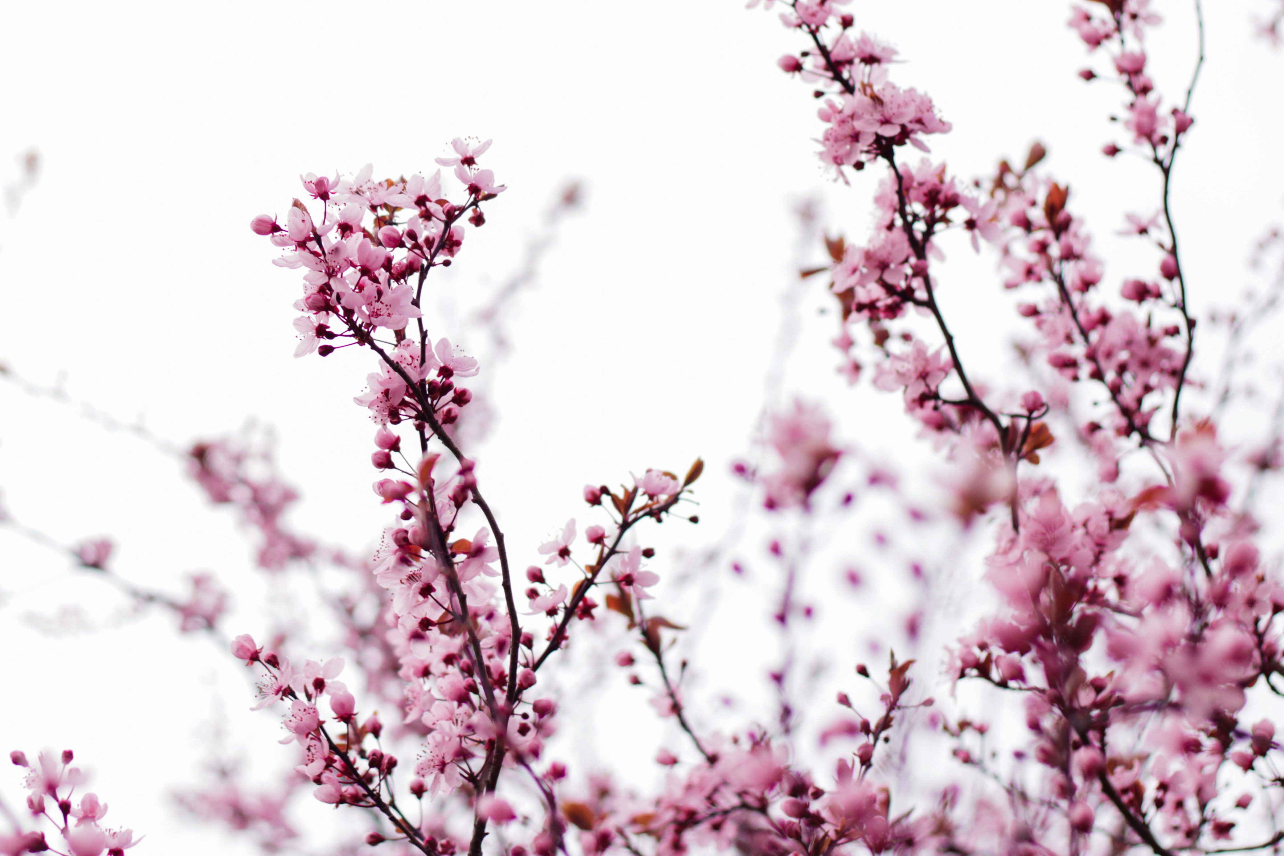 Photo by szymonek_wierzcholek