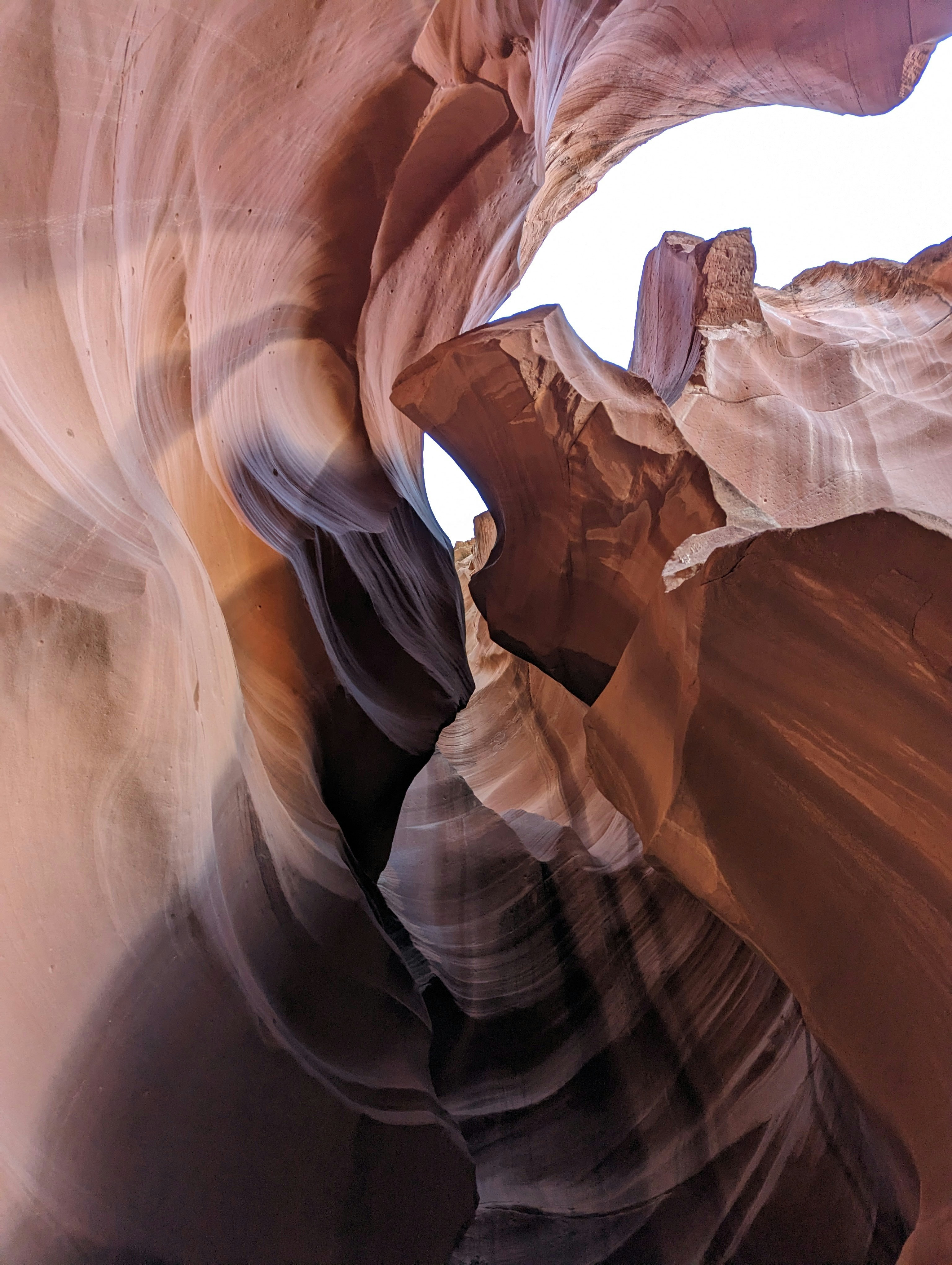 Photo by asaccomanno