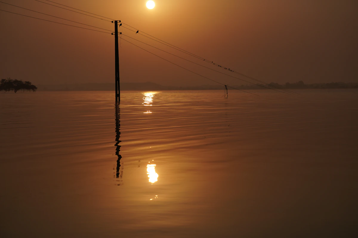 Golden sunrise over calm water in Gujarat (representative image)