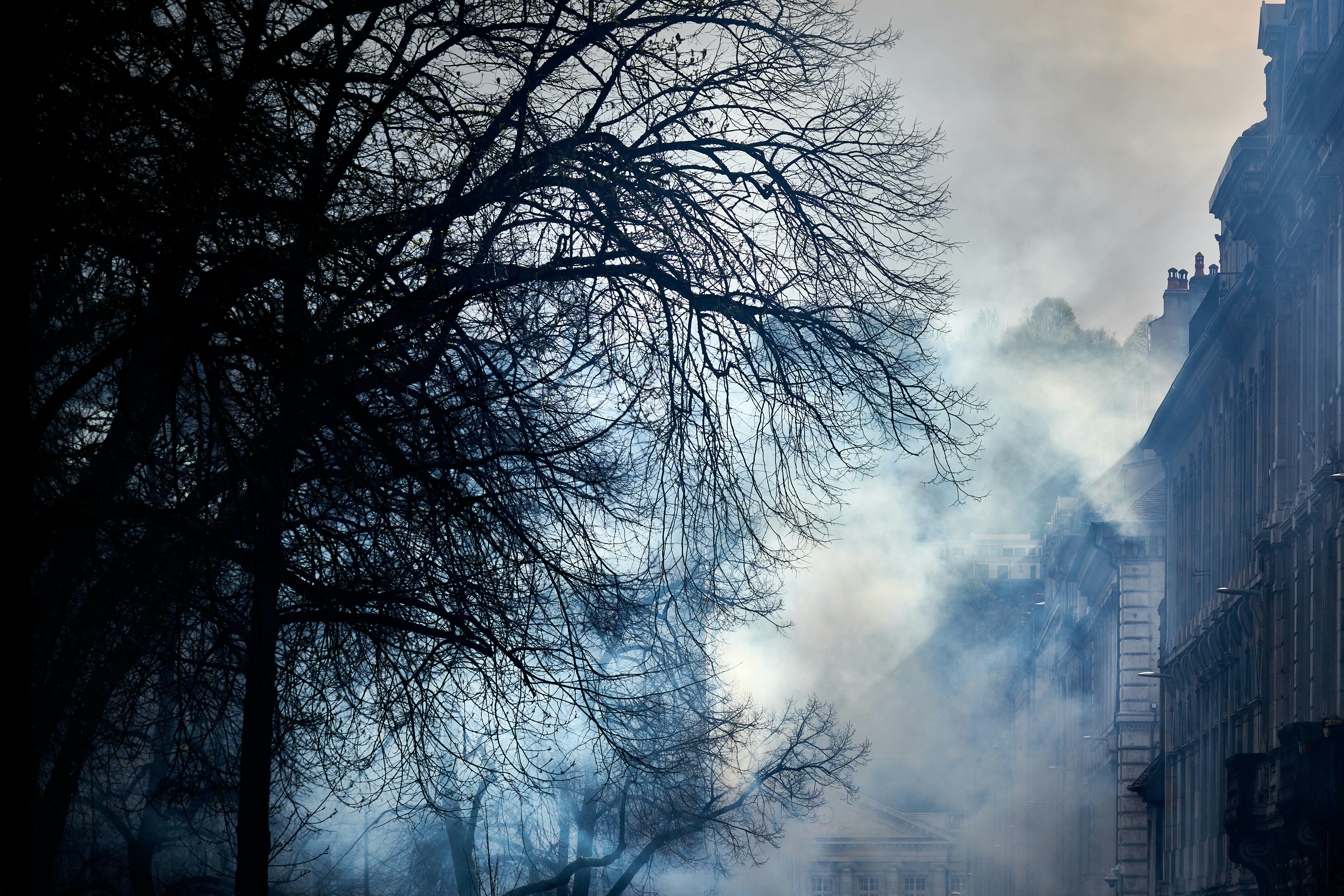 El humo sale de un edificio cerca de un árbol