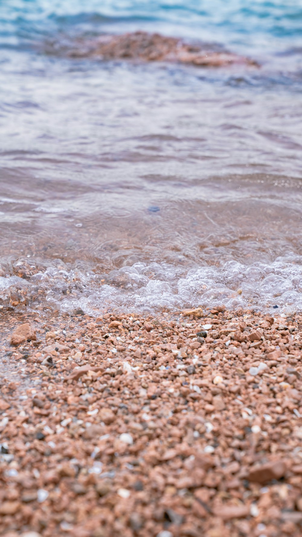 a bird standing on a beach next to the ocean