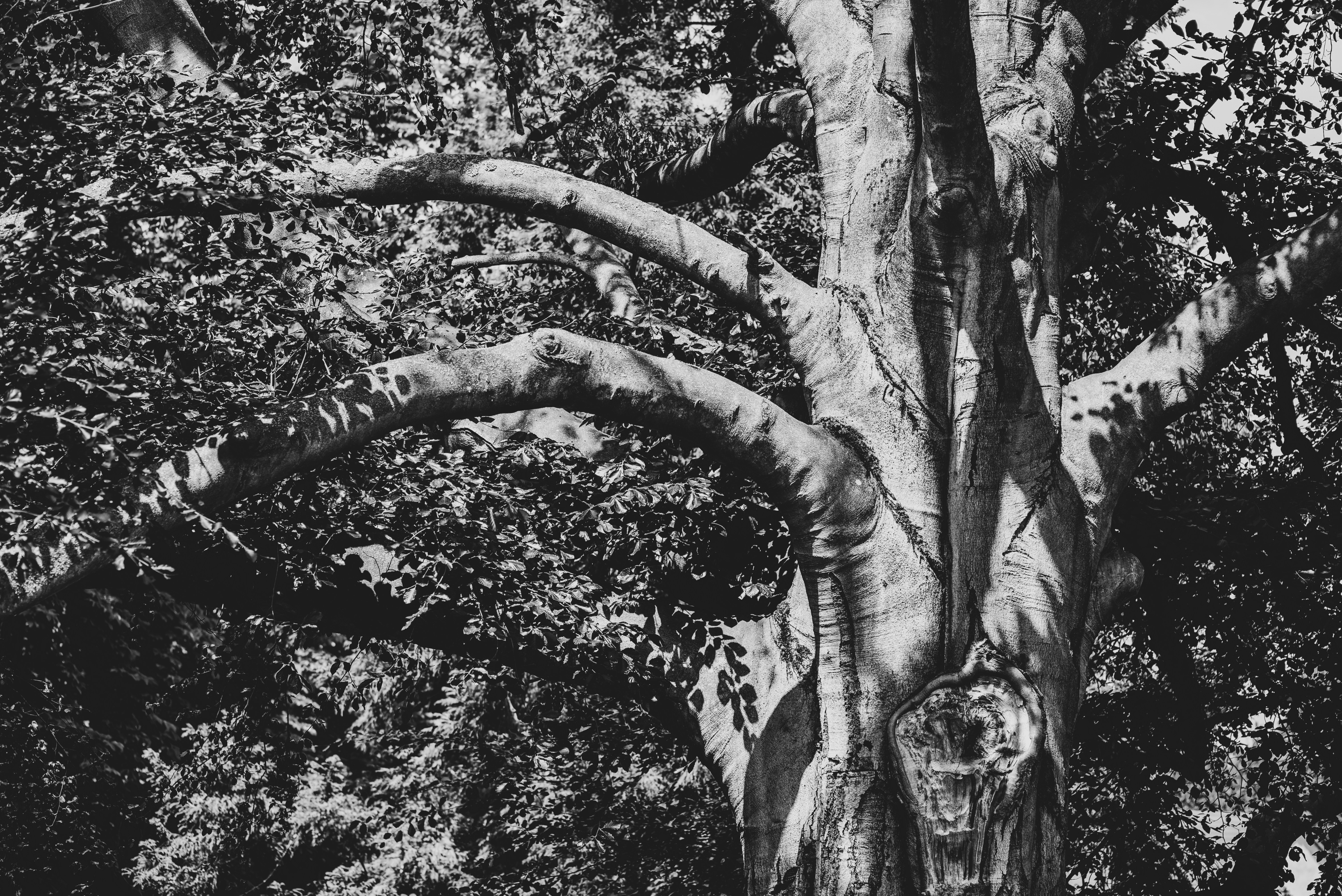 Photo by anastazjakp