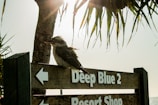 A kookaburra perches on a wooden sign directing to 'Deep Blue 2' and a 'Resort Shop'. The scene is backlit by the sun, creating a warm, bright atmosphere. Palm tree leaves partially frame the sky, adding to the tropical setting.