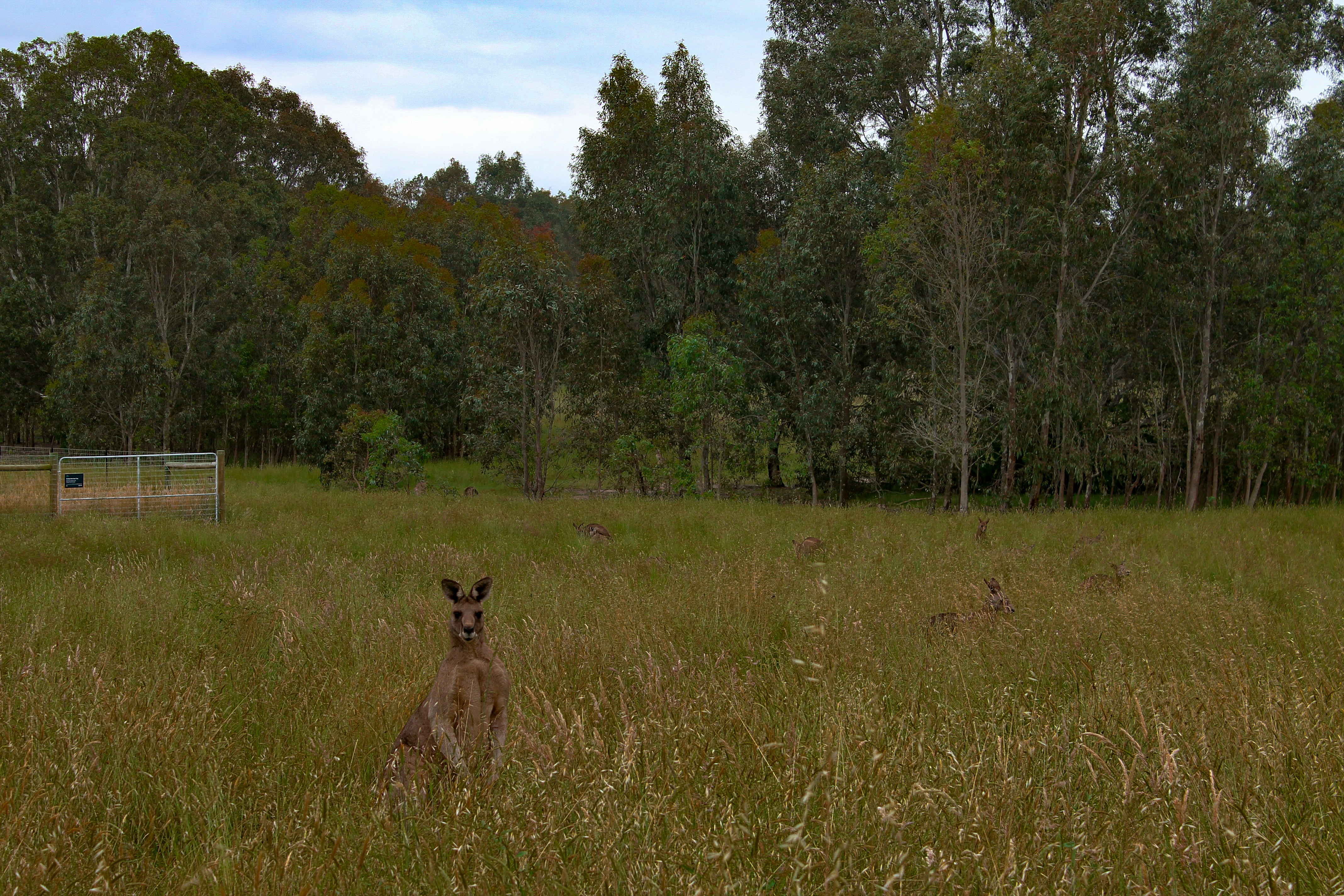 Richmond Wildlife Manangement Area
