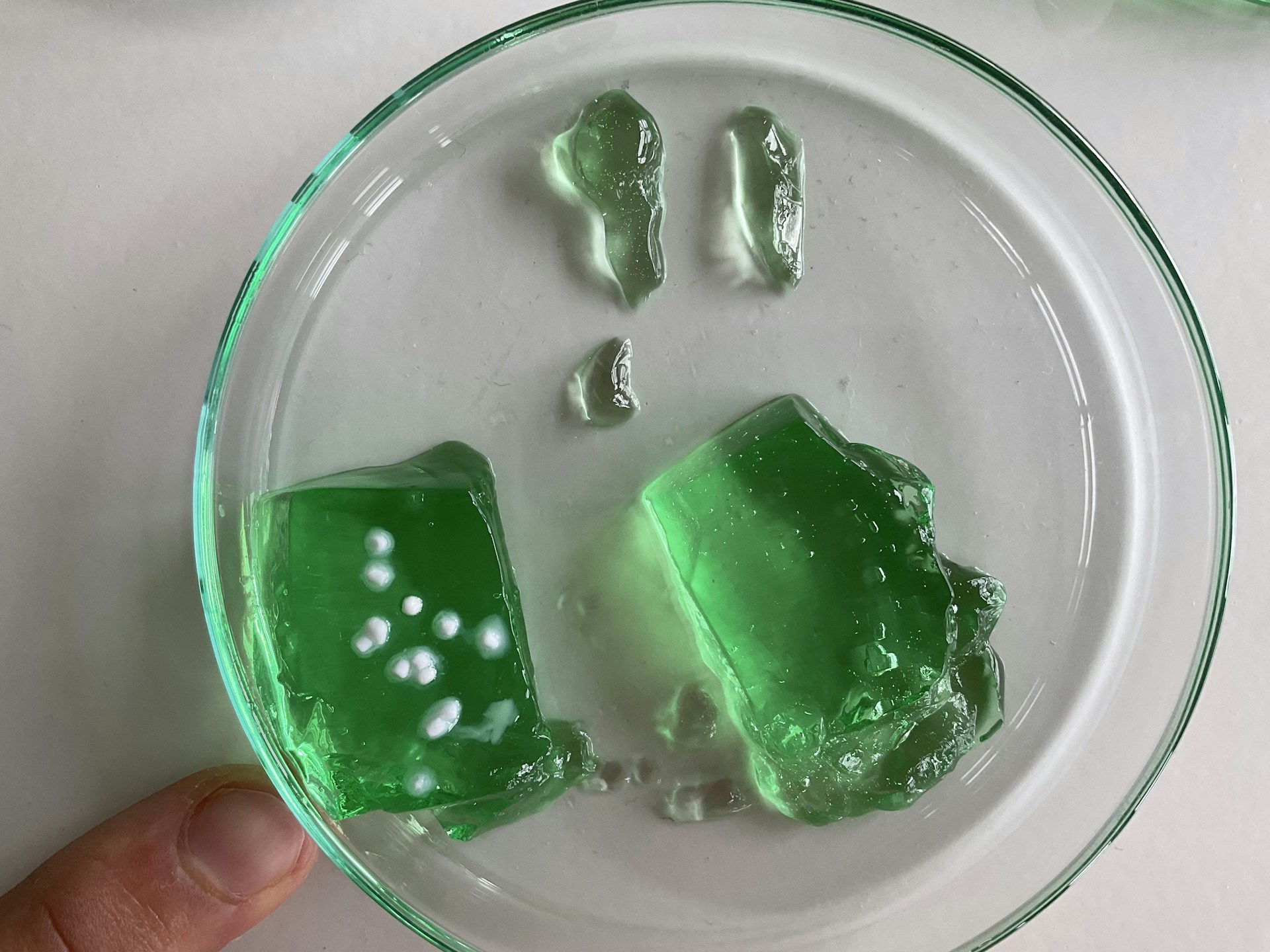 gray computer monitor