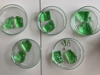 Five petri dishes contain pieces of green gelatin-like substance arranged on a white surface.