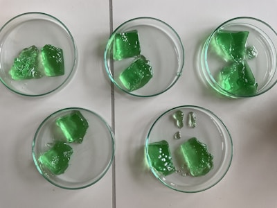 Five petri dishes contain pieces of green gelatin-like substance arranged on a white surface.