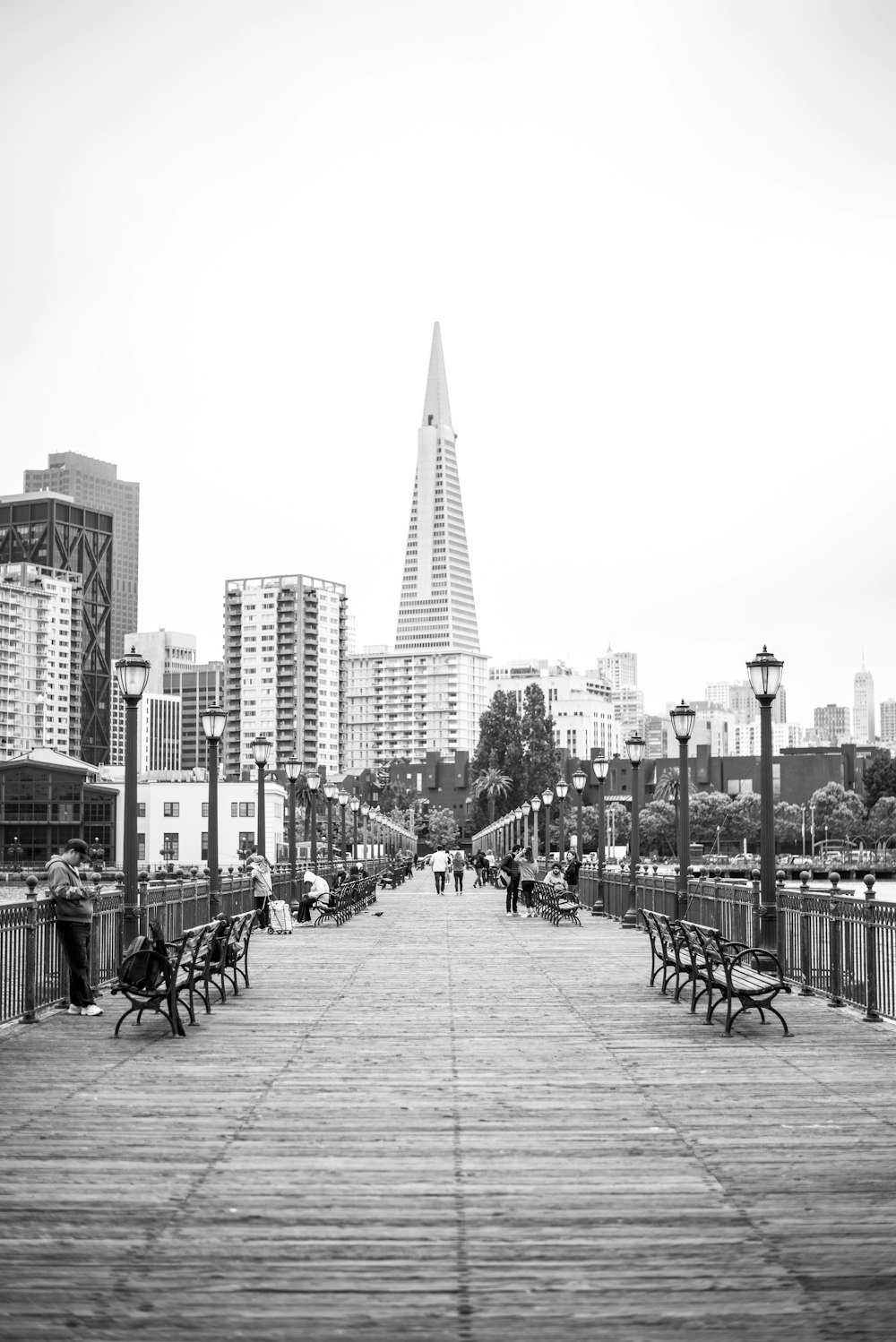 a black and white photo of benches on a boardwalk