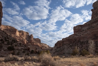 Dry canyon section with rugged rocky terrain under a clear blue sky.