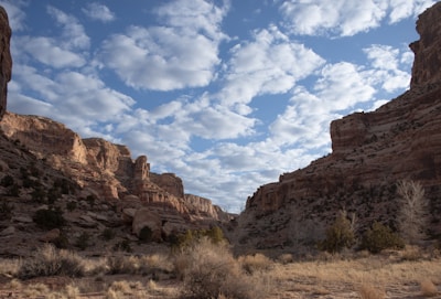 Dry canyon section with rugged rocky terrain under a clear blue sky.