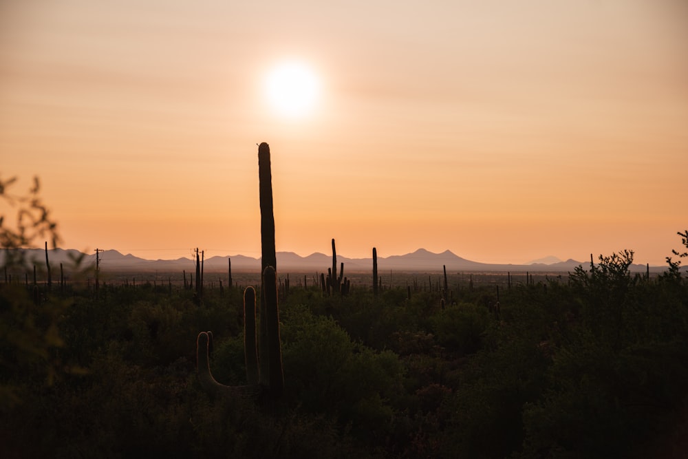 the sun is setting over a desert landscape