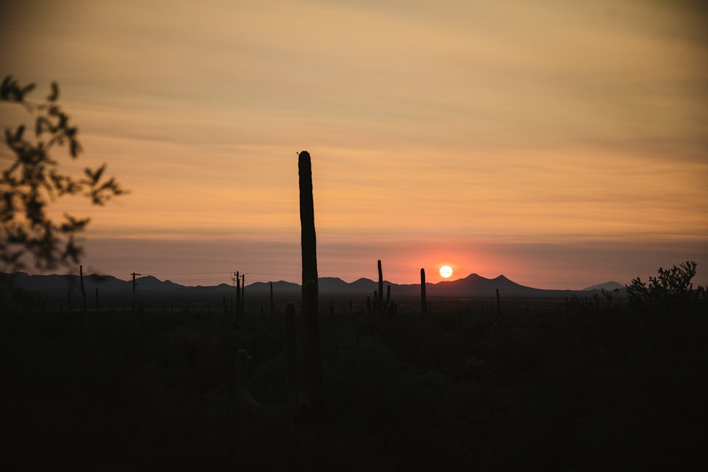 the sun is setting over a desert landscape