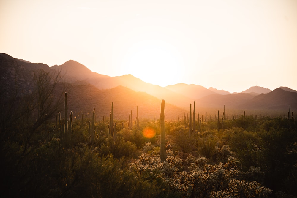 the sun is setting over the mountains in the desert