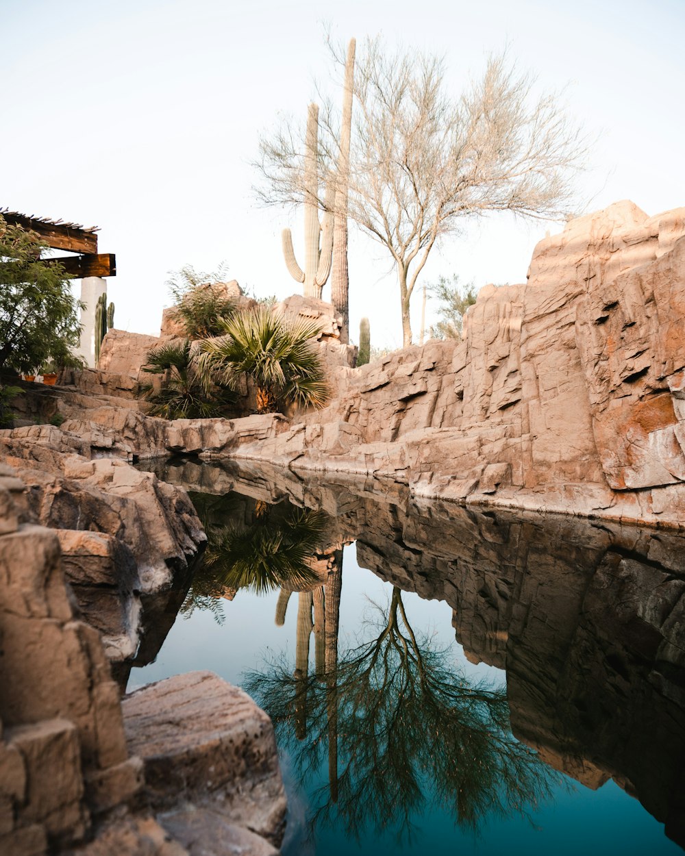 a pool of water surrounded by rocks and a cactus