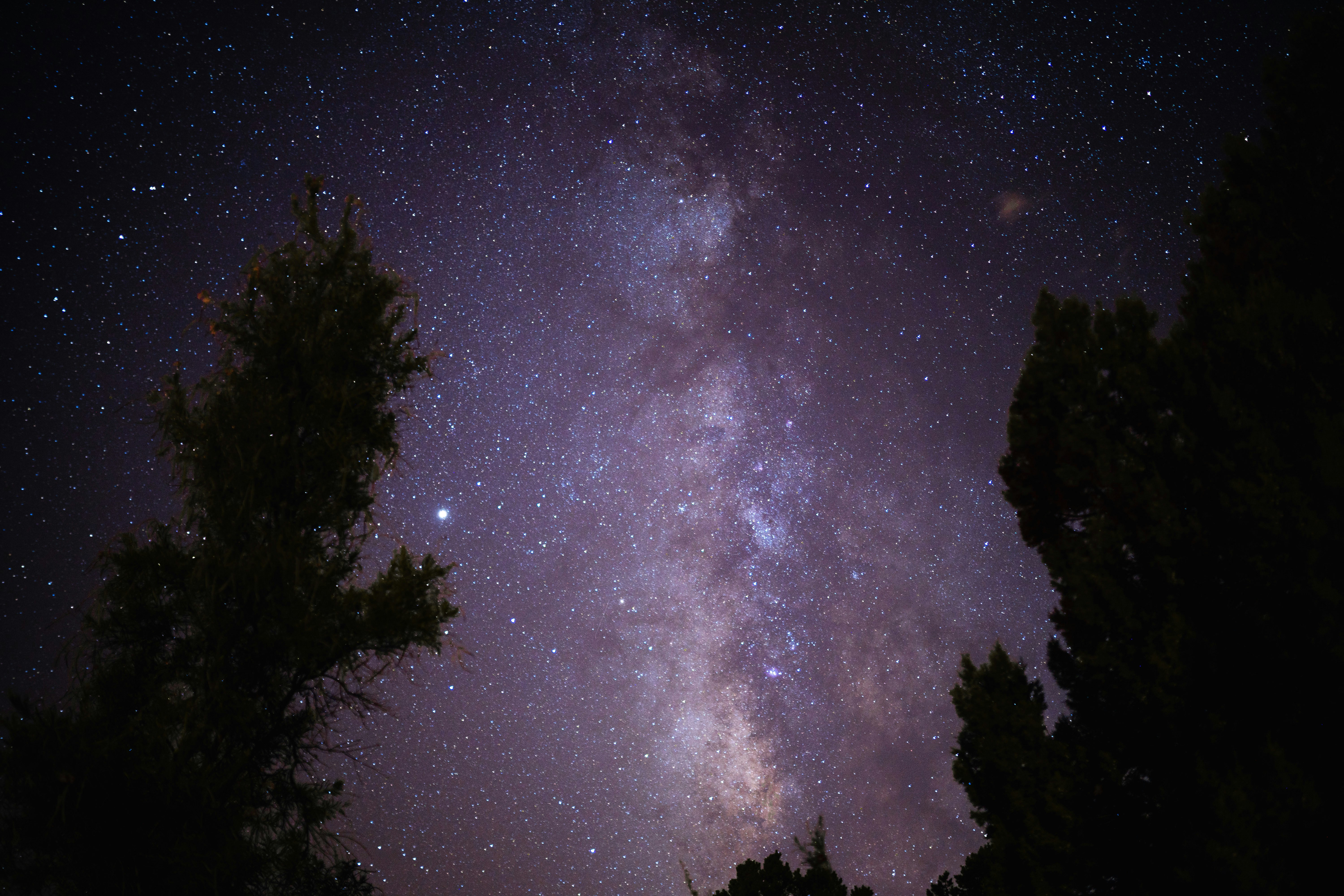 Photo by jacob_diehl_film