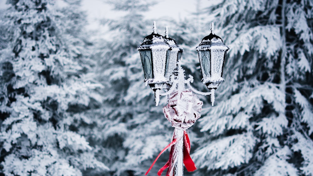 a couple of street lights covered in snow