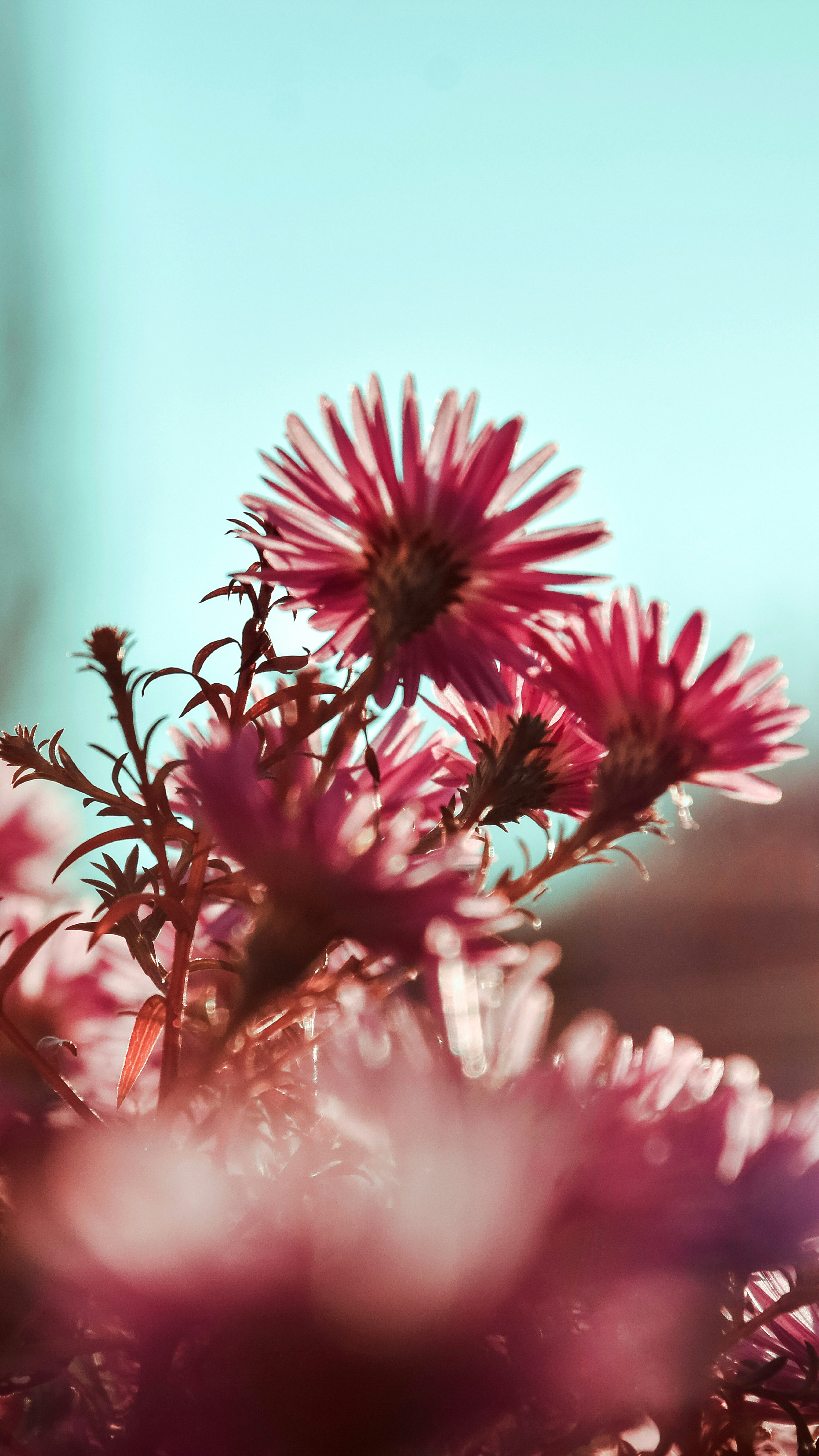 photo-1681408227280-07b7d259ef85?ixid=M3wxMjA3fDB8MXxzZWFyY2h8MTB8fCVEMCVCRiVEMSU4MCVEMCVCOCVEMSU4NiVEMCVCNSVEMCVCRiUyMCVEMCVCNCVEMCVCQiVEMSU4RiUyMCVEMCVCQiVEMCVCNSVEMCVCMyVEMCVCQSVEMCVCRSVEMCVCMiVEMCVCRSVEMCVCMyVEMCVCRSUyMCVEMCVCMCVEMCVCMiVEMSU4MiVEMCVCRSVEMCVCQyVEMCVCRSVEMCVCMSVEMCVCOCVEMCVCQiVEMSU4RiUyMCVEMCVCOCVEMSU4MSVEMSU4MiVEMCVCRSVEMCVCQSUyMCVEMCVCQSVEMSU4MyVEMCVCRiVEMCVCOCVEMSU4MiVEMSU4Q3xlbnwwfHx8fDE3NDI0OTgxOTF8MA\u0026ixlib=rb-4.0.3