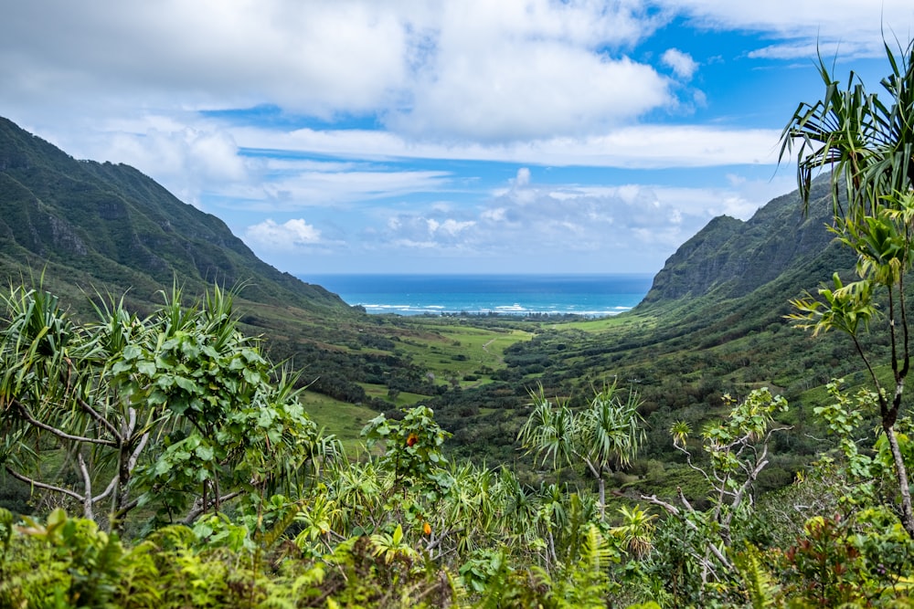 a scenic view of a valley with a body of water in the distance